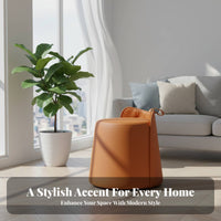 Round Pouf with Handle Light Luxury aesthetic Round Pouf Nordic Design for Cloakroom