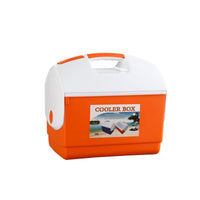 Insulated Container Insulated Chilling Container Cooler with Handle Hard-Sided Portable Ice Chest for Picnics