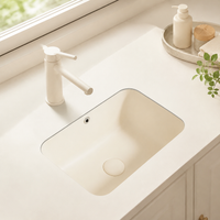 Recessed Washbasin For Hotels & Commercial Spaces Cream Ceramic Washbasin Classic Design
