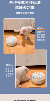 新款宠物电动三合一猫转盘猫咪蝴蝶飞羽毛打洞机智能自嗨逗猫玩具
