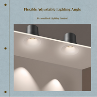 Adjustable anti-glare LED light