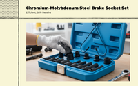 Brake caliper screw remover wrench