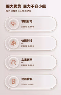车家两用美妆镜面迷你小冰箱制冷护肤品饮料4L便携式车载