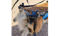 Lightweight Design Hind Leg Dog Wheelchair Allows Pet to Relieve Itself Adjustable Dog Wheelchair for Disabled Pets