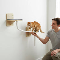 Wall Mounted Cat Perch Non-Permanent Attachment Installation Window Cat Hammock Space Capsule Design for Indoor Cats