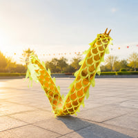 Dragon Dance Prop Scale Pattern Festival Item for Performance, Children