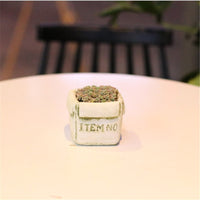 Cement Succulent Planter Pot with Moss Finish