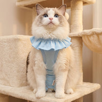 Recovery Suit for Spay Neuter, Post-Surgery Suit with Sleeveless Leg Coverage, Anti-Lick Cat Vest for Post-operative Care in Female and Male Cats