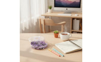 Colorful Document Clip Set with Case Long-Lasting Metal for Desk Organization