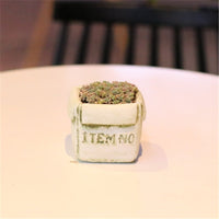 Cement Succulent Planter Pot with Moss Finish