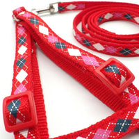 Dog Harness and Dog Leash Set, Adjustable Strap Design for Small Dog Puppy, Outdoor Walking Cat Harness and Puppy Harness in Mixed Colors