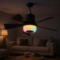 RGB Ceiling Fan Light Brightness Adjustable Home Device Timing