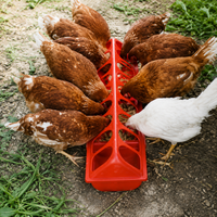 Chicken Feeder, Poultry Feeder, Chick Feeding Trough, Plastic, Easy to Clean, Red