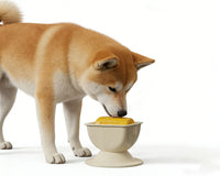 亚马逊猫狗舔食器可拆卸防滑底座带摇摆功能的舔食碗缓解宠物焦虑