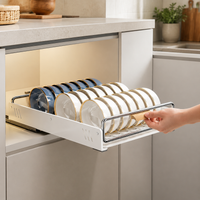 Cabinet Dish Rack, Stainless Steel Rack 42x30x9cm, Telescopic Movable Dish Rack with Drip Tray, Pull Out Drainer for Organised Kitchen