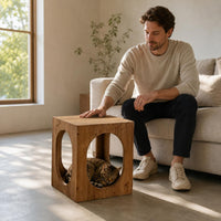Cat House Side Table Dual Use Cat House Table 2-in-1 Nightstand for Bedroom