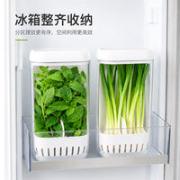 Hydroponic Fresh-Keeping Container for Scallions, Cilantro, Garlic, Mint, and Asparagus