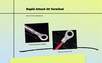 Copper Ring Terminal for Auto