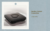 Wall mount speaker amplifier
