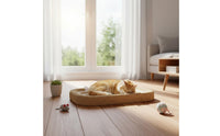 Large Size Cat Scratching Basin Includes Ball Toy Cat Scratcher Bed for Cats