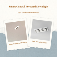 App-dimmable LED downlight