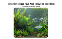Aquatic Breeder Box Good Water Circulation Aquatic Breeding Box Guppy Breeding Enclosure Anti-Tip Design Easy to Clean
