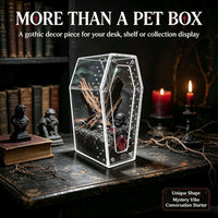 Acrylic Reptile Habitat Transparent Small Pet Breeding Box