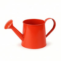 Metal Watering Can Outdoor Watering Can with Long Spout Indoor for Gardeners