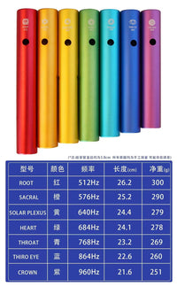 Rainbow Frog Guiro Percussion Instrument