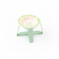 Ceramic Cat Dish with Stand Proof Raised Pet Feeder for Kittens