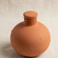 2 Pieces Terracotta Olla Evaporation Resistance Porous Clay Waterer for Travel