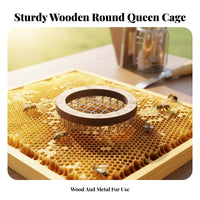 Push-Pin Design Queen Enclosure Lightweight Queen Bee Pin Enclosure Easy to Use Stainless Steel for Beekeepers