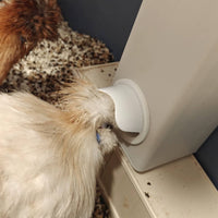 Gravity Fowl Feeder Kit Easy Installation Farm Livestock Supplies No Waste