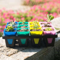 Plastic Succulent Planter Tray with Grid Design, Thickened Water-Storing Base for Small Square Pots