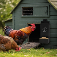 chicken feeder