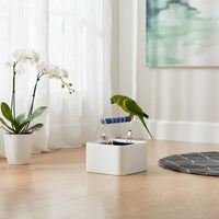 Parrot Potty Training Stand Space-Saving Design for Indoor