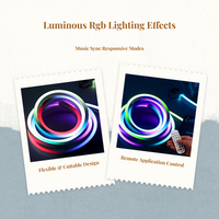 RGB Light Strip, Color Changing, Flexible, Portable, Remote