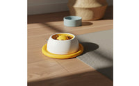 Dog and Cat Lick Toy Anti-Tip Design Pet Challenge Feeder Easy to Clean