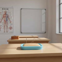 Needle Therapy Teaching Set Acupoint Map Medical Training for Classroom