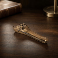 Skull Ornament Sculptural Skull Realistic for Display Shelf