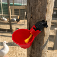 Red Automatic Chicken Water Dispenser, 500 Pcs Poultry Waterer, Quail & Pigeon Drinker Feeder Accessory