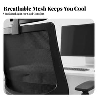 Ergonomic Design Sled Base Mesh Chair Fixed Armrests Office Furniture Breathable posterior supportrest Indoor Seating Support for Students, Home Users, Guests, Study Room, Reception Area