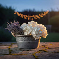 Rustic Iron Planter with Rope Handles Versatile Decorative Pail Great Gift Vintage Rural Planter for Gardeners, Balcony