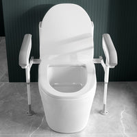 Toilet Safety Frame for Elderly and Disabled, 304 Stainless Steel, Painted Finish
