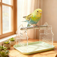 Desktop Bird Stand Parrot Training Perch with Food Cup Set, Polypropylene, Acrylic