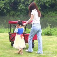 Foldable Outdoor Camping Cart with Detachable Push Rod Accessories