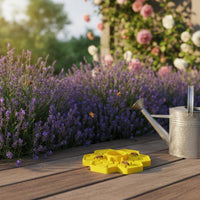 Bee Watering Station Sturdy Plastic Garden Bee Drinker for Gardeners