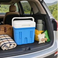 Portable Insulated Cooler Box Compact Hard-Shell Cooler Lightweight Ice Chest with Handle for Campers, Picnickers