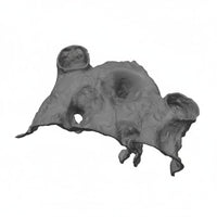 Breeding Cave House Hiding Refuge Pet Decor Stackable