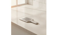 Ginger Grater Handheld Stainless Steel Grater Compact for Kitchen